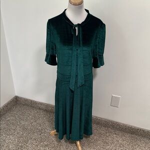 😊 Ranphee Velvet Dress